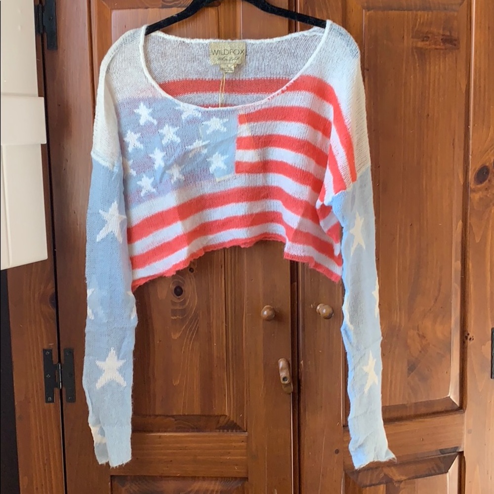 Wildfox knit cropped sweater.